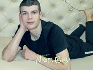 NigelBud