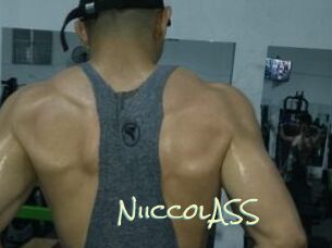 NiiccolASS