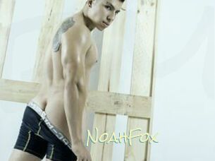 NoahFox