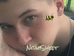 NoahSweet