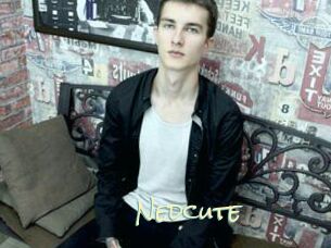 Nedcute