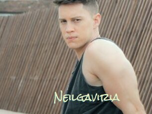 Neilgaviria