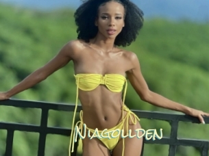 Niagollden