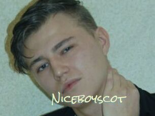 Niceboyscot