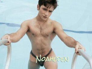 Noaheden