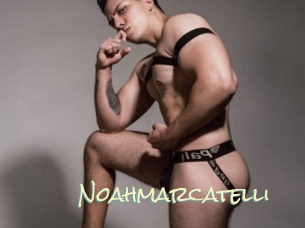 noahmarcatelli Porn Monkey Cash
