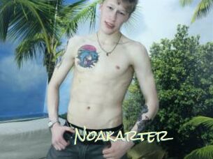 Noakarter