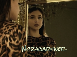 Noragartner