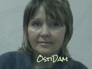 OstiDam