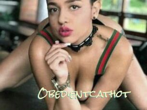 Obedientcathot