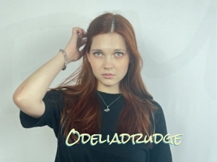 Odeliadrudge