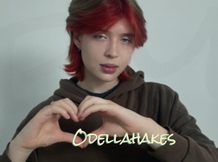 Odellahakes