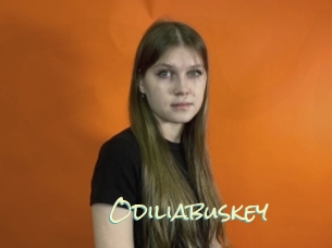 Odiliabuskey