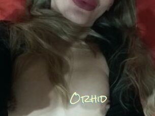 orhid Porn Monkey Cash