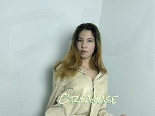 Orvahase