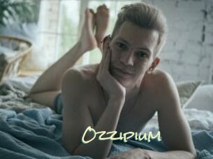 Ozzipium