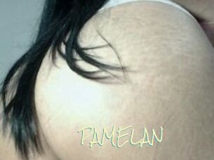PAMELA_N