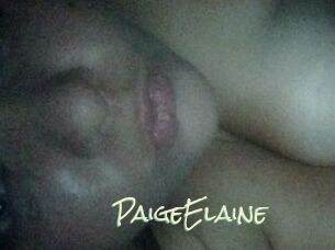 PaigeElaine Porn Monkey Cash