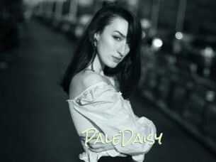 PaleDaisy