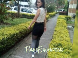 PamEinhorn