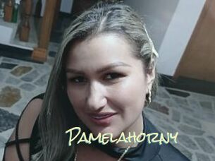 Pamelahorny Porn Monkey Cash