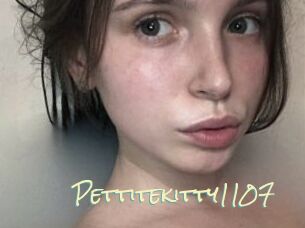 Pettitekitty1107