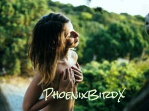 PhoenixBirdX Porn Monkey Cash