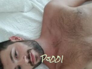 Pj001
