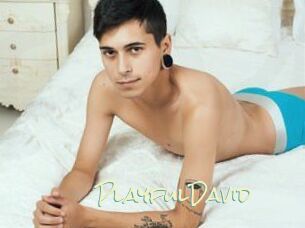 PlayfulDavid