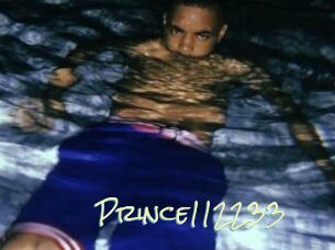 Prince112233
