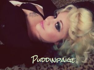 Puddinpaige