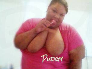 Pudgy