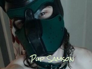 Pup_Samson