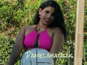 pamelaharris Porn Monkey Cash