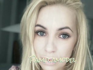 Pamelamodel