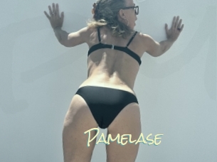 pamelase Porn Monkey Cash