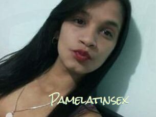 pamelatinsex Porn Monkey Cash