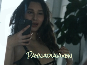 Paynadiavixen