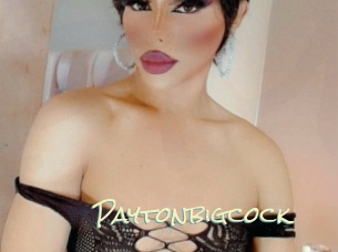 paytonbigcock Porn Monkey Cash