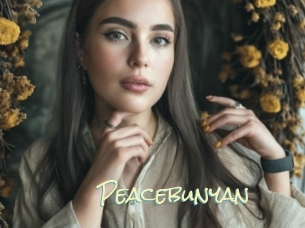 Peacebunyan