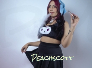 peachscott Porn Monkey Cash