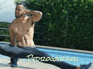 Pedrogarzon