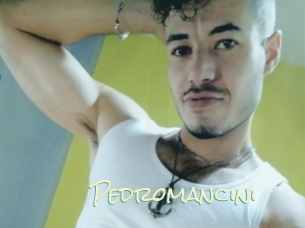 Pedromancini