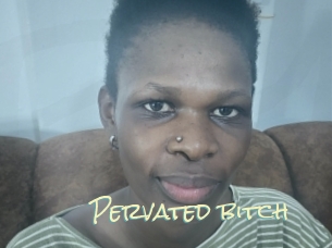 pervated_bitch Porn Monkey Cash