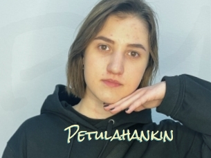 Petulahankin