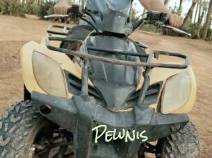 Pewnis