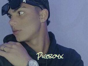 Pigboyx