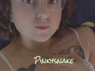 Pinkysnake