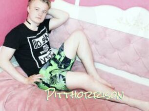 Pitthorrison