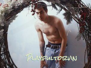 Playfultorvin